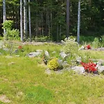 Paisible Avec Piscine, Terrasse Et Wifi En Pleine Foret Pour 4 Pers - Fr-1-589-662 Prázdninový dům *