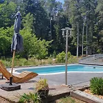 Paisible Avec Piscine, Terrasse Et Wifi En Pleine Foret Pour 4 Pers - Fr-1-589-662 Saint-Remy (Vosges)