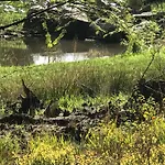 Paisible Avec Piscine, Terrasse Et Wifi En Pleine Foret Pour 4 Pers - Fr-1-589-662 Prázdninový dům *