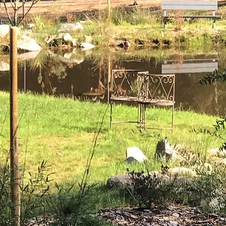 Paisible Avec Piscine, Terrasse Et Wifi En Pleine Foret Pour 4 Pers - Fr-1-589-662 Prázdninový dům Saint-Remy (Vosges)