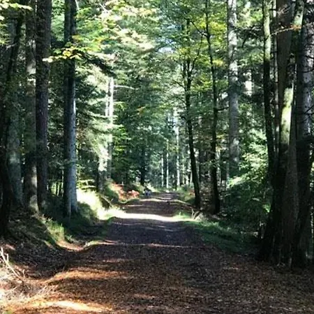 Paisible Avec Piscine, Terrasse Et Wifi En Pleine Foret Pour 4 Pers - Fr-1-589-662 * Saint-Remy (Vosges)