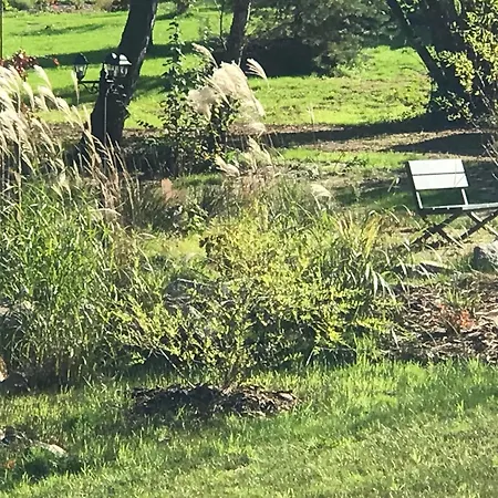 Holiday home Paisible Avec Piscine, Terrasse Et Wifi En Pleine Foret Pour 4 Pers - Fr-1-589-662