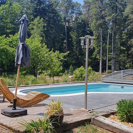 Paisible Avec Piscine, Terrasse Et Wifi En Pleine Foret Pour 4 Pers - Fr-1-589-662 Saint-Remy (Vosges)