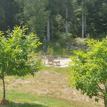 Paisible Avec Piscine, Terrasse Et Wifi En Pleine Foret Pour 4 Pers - Fr-1-589-662 * Saint-Remy (Vosges)