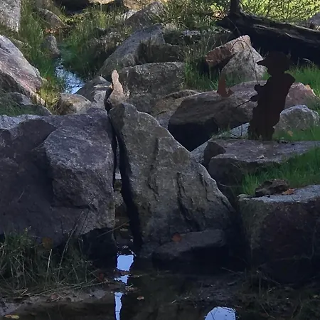 Paisible Avec Piscine, Terrasse Et Wifi En Pleine Foret Pour 4 Pers - Fr-1-589-662 Holiday home Saint-Remy (Vosges)