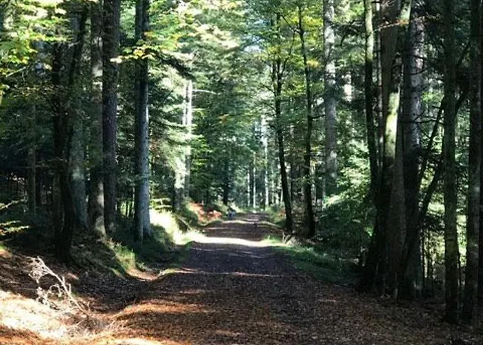 Paisible Avec Piscine, Terrasse Et Wifi En Pleine Foret Pour 4 Pers - Fr-1-589-662 * Saint-Remy (Vosges)