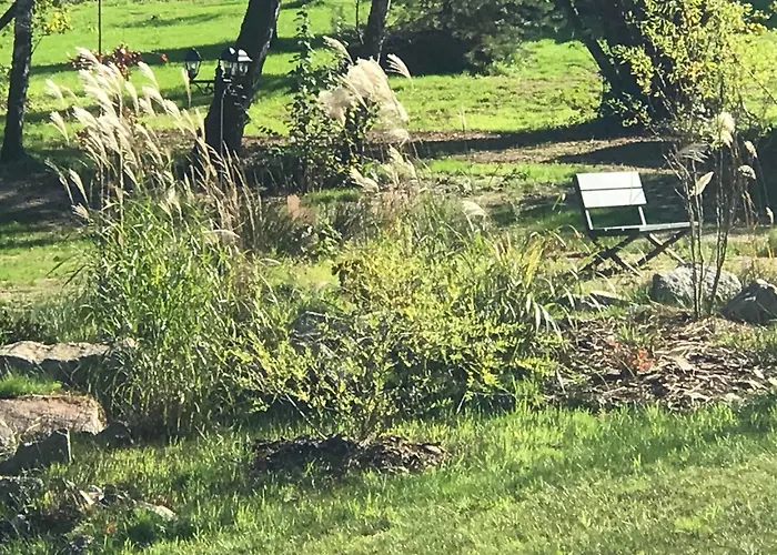 Holiday home Paisible Avec Piscine, Terrasse Et Wifi En Pleine Foret Pour 4 Pers - Fr-1-589-662