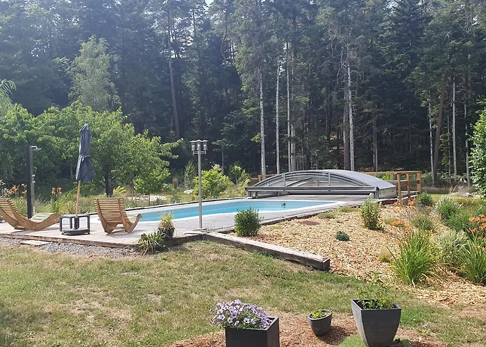 Paisible Avec Piscine, Terrasse Et Wifi En Pleine Foret Pour 4 Pers - Fr-1-589-662