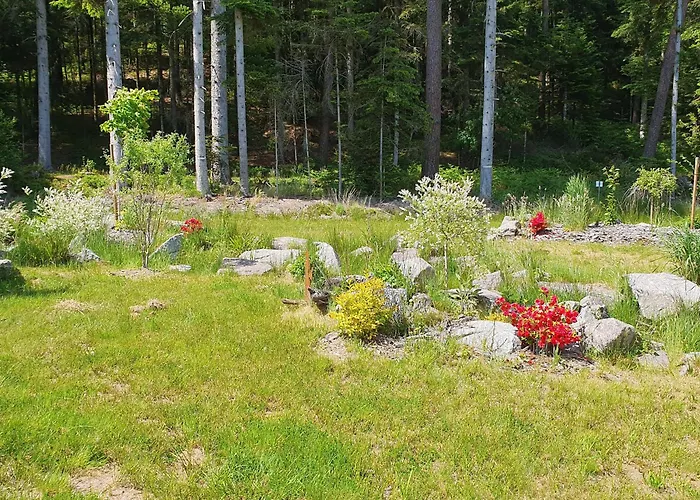 Paisible Avec Piscine, Terrasse Et Wifi En Pleine Foret Pour 4 Pers - Fr-1-589-662 Holiday home *