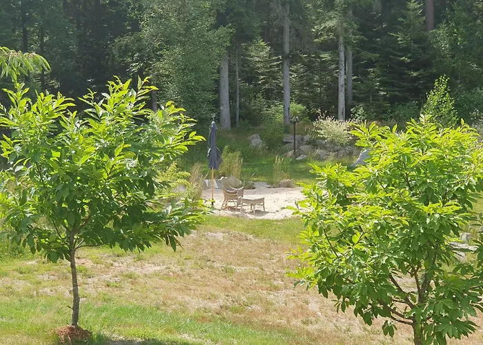 Paisible Avec Piscine, Terrasse Et Wifi En Pleine Foret Pour 4 Pers - Fr-1-589-662 * Saint-Remy (Vosges)