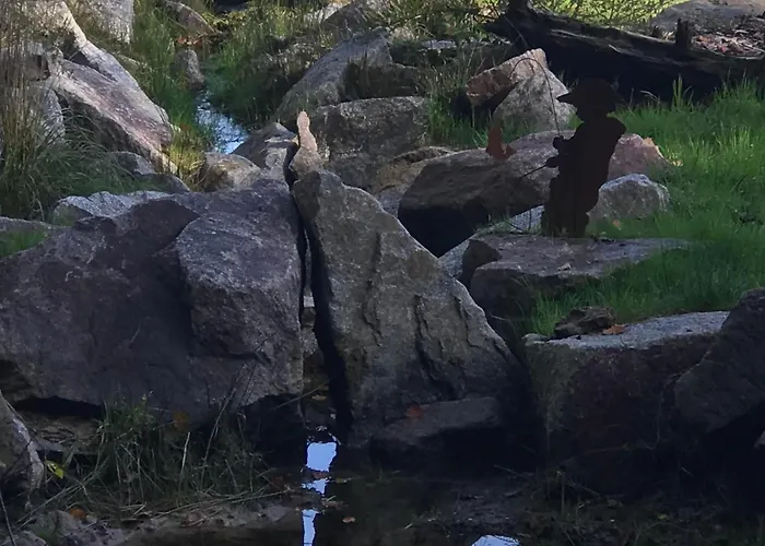 Paisible Avec Piscine, Terrasse Et Wifi En Pleine Foret Pour 4 Pers - Fr-1-589-662 Holiday home Saint-Remy (Vosges)